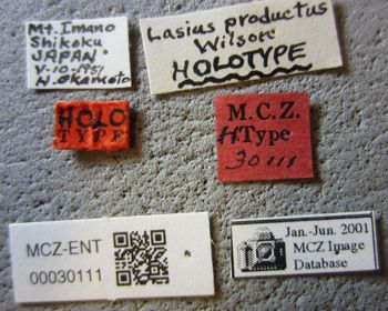 Media type: image;   Entomology 30111 Aspect: lbsa